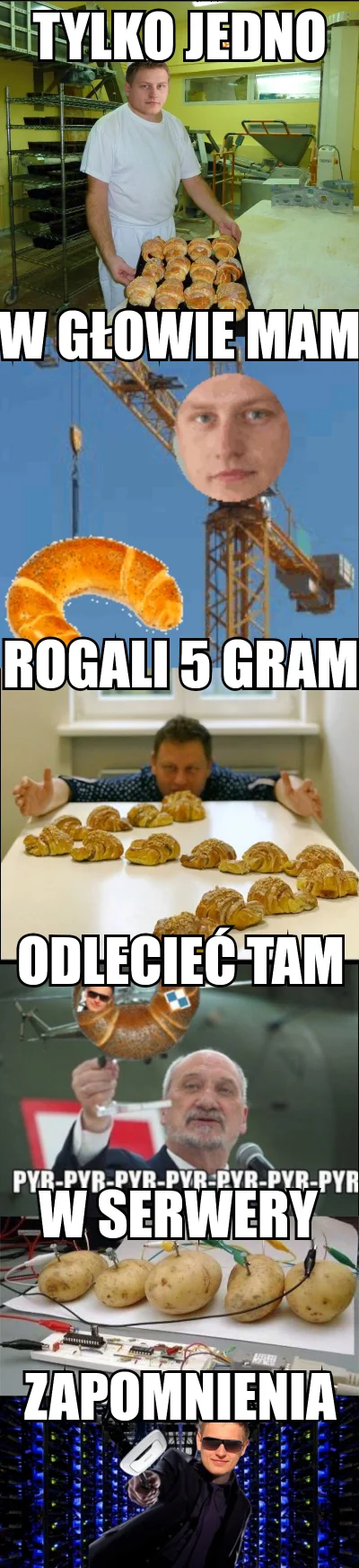 evolved - #rogale #heheszki #humorobrazkowy