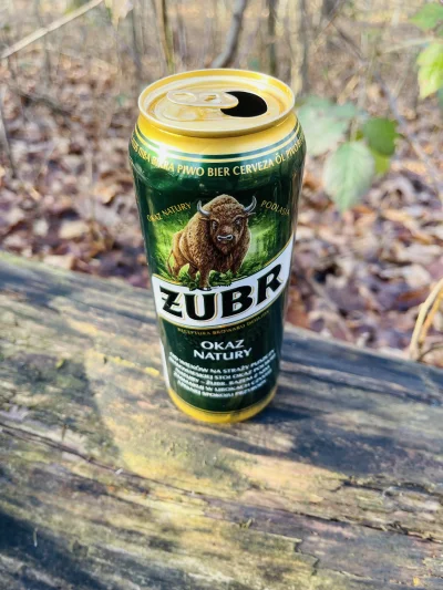LetMeStay - Pije sobie sam browary w lesie, bo nie mam żadnych znajomych. #piwo #prze...