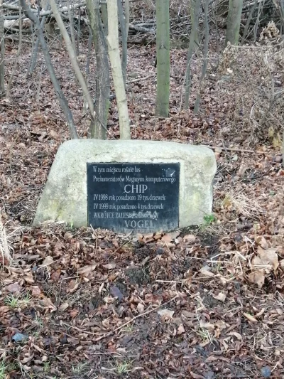 obywatel_z - #chip #komputery #kiedystobylo