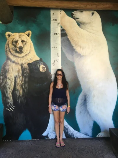 Artktur - @Triptiz: Polarny to kawał niedźwiedzia
