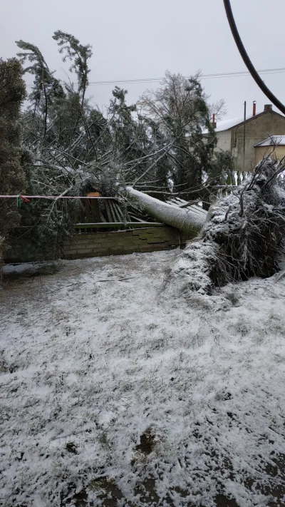 mishek - No i #!$%@? i cześć. Trochę lat żyję ale burzy śnieżnej jakoś sobie nie przy...