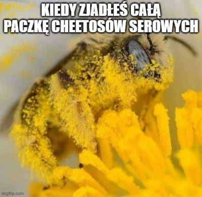 SzybkiPociskAkacza