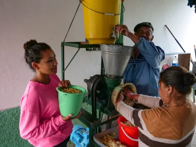 ziolo22 - A tutaj fotka z gospodarstwa gdzie ręcznie przetwarza się tortille.