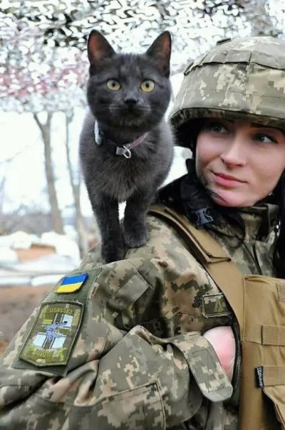 wfyokyga - #!$%@? zrobią ruskie bo Ukraina ma dywizje kotów szturmowych.
#ukraina #ko...