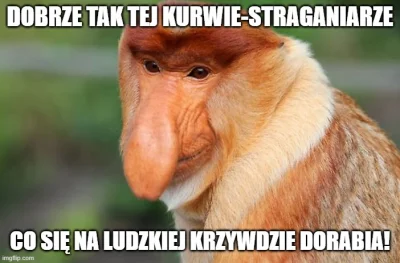 odomdaphne5113 - @konkarne: Tymczasem elektorat PiS'u: