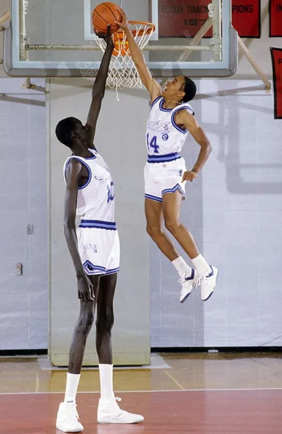 z.....k - Porównanie z Manute Bol