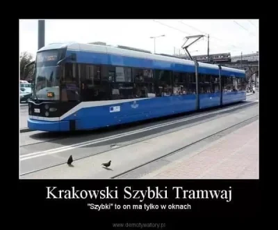 Brajanusz_hejterowy - #krakow #heheszki #hanuszki #humorobrazkowy