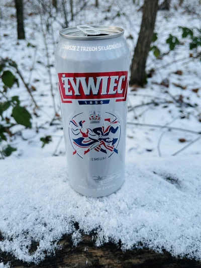 LetMeStay - Pije sobie sam browarka w lesie, w śnieżnej scenerii. #przegryw #piwo