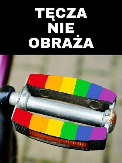 VrubeL - Nawiązując do analogicznego wpisu @SynGilgamesza :
wielka beka z gejowskich ...