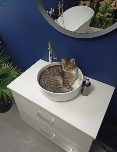 longermenu - Nalałem całą umywalkę kota

#koty #pierdzepokotach