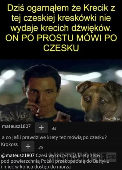 januszzczarnolasu - Czeskie bajki (czeski film) ( ͡° ͜ʖ ͡°)