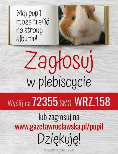 V.....9 - #zwierzaczki 
#zwierzeta 
#swinkamorska
chciałbym komuś pomóc w głosowan...