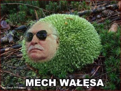 DonMirabello - @n1craM: Mecha wałęsa wyglada tak