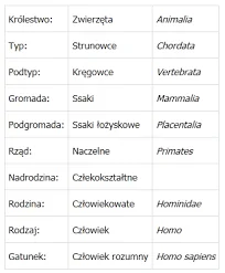 RandomNetUser - Wszyscy przedstawiciele homo sapiens należą do królestwa zwierząt. To...