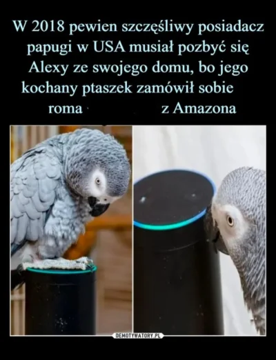 DziamboDziamboDziambo