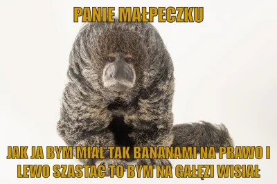 Dzikiwonsz1 - #memy #heheszki #januszalfa #humorobrazkowy