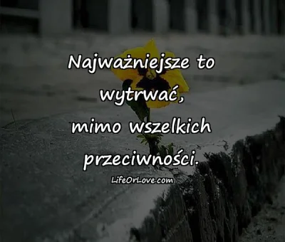 Isildur - Styczeń z nofapem 25/31 - edycja XVII

"Przeciwności losu uczą mądrości, ...