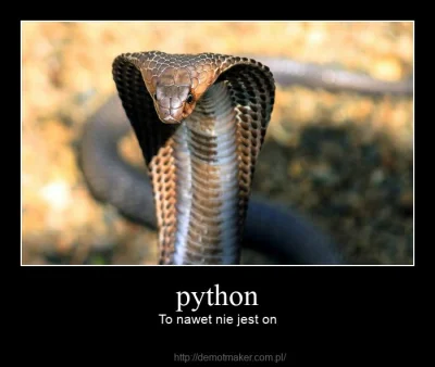 R4vPL - #heheszki #hanuszki #programowanie #python #humorinformatykow

SPOILER