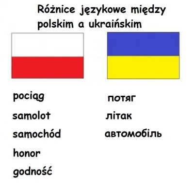 Megawonsz_dziewienc - #ukraina #polska takie są fakty