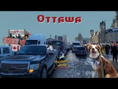 tomekl - Convoy To Ottawa 2022 Canadian Trucker Destination Parliment - LIVE
#korona...