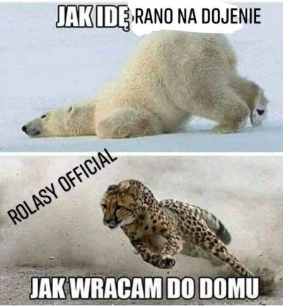 ProstyRolnikZPodlasia - To ja teraz 

#heheszki #humorobrazkowy #rolnictwo