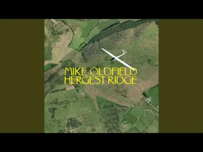 Theo_Y - Hergest Ridge 1
#muzyka #mikeoldfield #rockprogresywny #theolubi