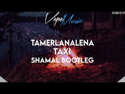 shnitzel - Tamerlan Alena - Taxi