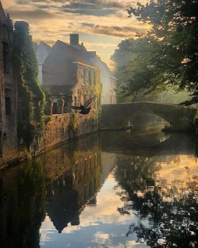 Borealny - Brugia, Belgia
#fotografia #earthporn #estetyczneobrazki #podroze #belgia