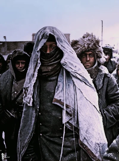wojna - Niemieccy więźniowie pod Stalingradem, front Wschodni.

2 lutego 1943r. 

...