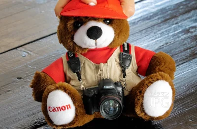MonochromeMan - @adam-photolive: Jak na niedźwiedzia to powinien zabrać Canon a (ale ...