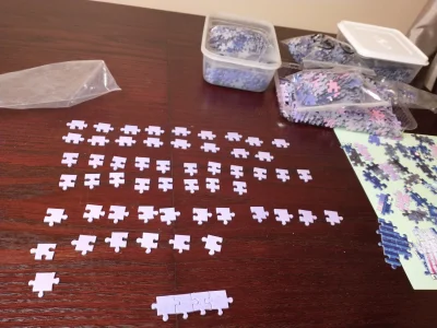 Arbuzlele - Dzisiaj posegregowalam 2 część puzzli 13 200 elementów. Ramka wygląda str...