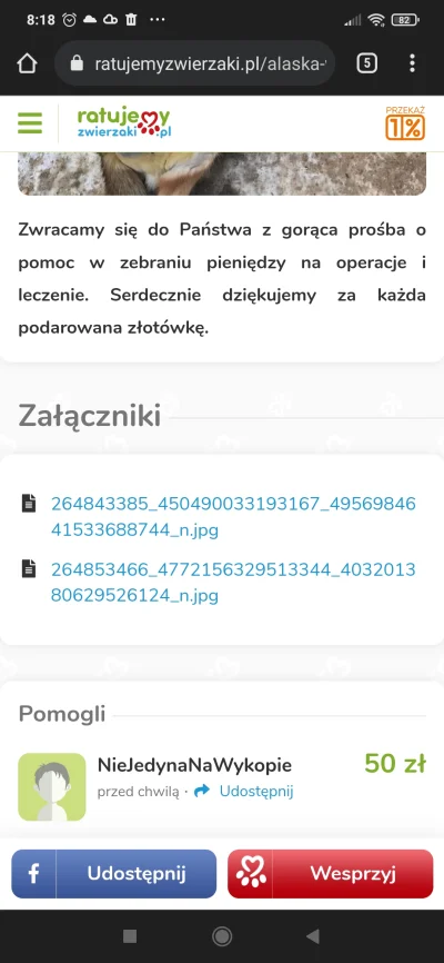 NieJedynaNaWykopie - @pierdze: szanuję Cię i często się uśmiecham przy Twoich wrzutac...