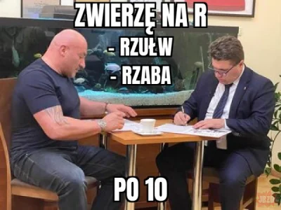 Shaoo - #humorobrazkowy #najman #heheszki #mmavip