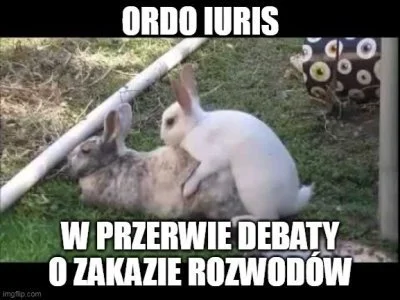 Bulgo - Widać że lubi na dwa baty ( ͡° ͜ʖ ͡°)