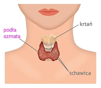 Chodtok - Dlaczego tarczyca tak wredną coorvvą jest 

#tarczyca #hashimoto #niedocz...