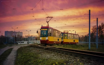 mrsopelek - Znalazłem jeszcze jedno, z 11 listopada 2019 roku. Z tych samych rewirów.