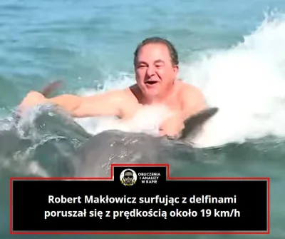 koba01 - Z jaką prędkością poruszał się Makłowicz na delfinach?

W trakcie jednego ...