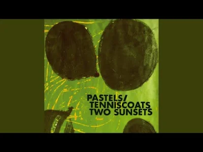 Seiji - #muzyka #thepastels #tenniscoats