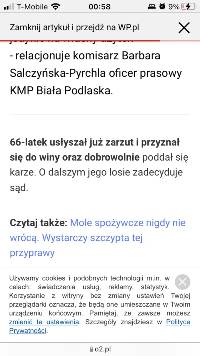 AloneShooter - Przyznał się do winy i podpisał dobrowolne poddanie się karze (╯°□°）╯︵...