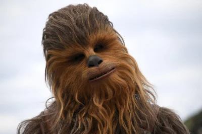 JimNH777 - @moglesznamizjednejwazy: 500zł za depilacje? Co ona jest chewbacca?