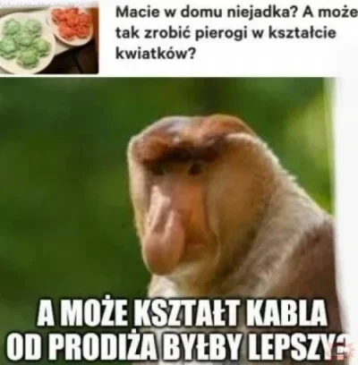 P.....s - #memy #heheszki #humorobrazkowy