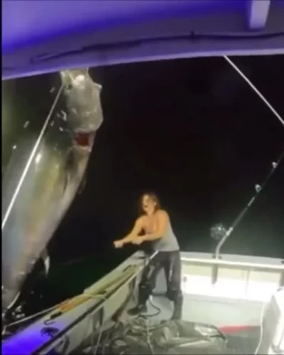 M.....k - #ryby #zwierzeta #tunczyk
Około 450kg