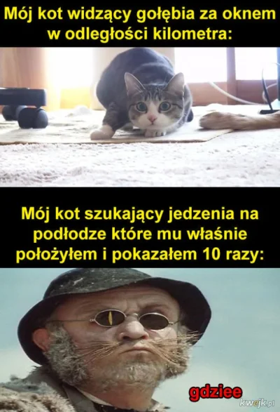 P.....s - #memy #heheszki #humorobrazkowy