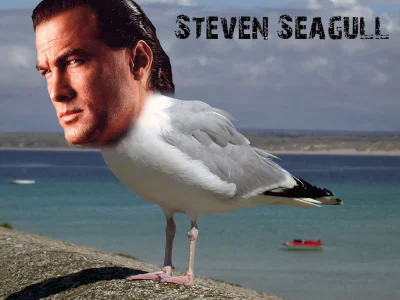 Inispirion - Steven Seagull - mój ulubiony aktor

#heheszki #stevenseagal #gownowpi...