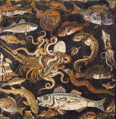 IMPERIUMROMANUM - Rzymska mozaika ukazująca faunę Morza Śródziemnego

Rzymska mozai...