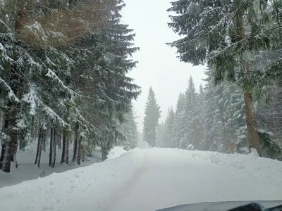 koters - @Barok byłem na ten weekend, babka od chaty mówiła, że w tamtym roku do świą...