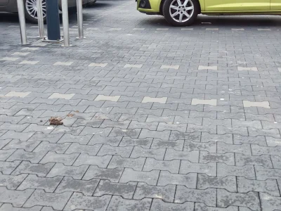 omgemil - #!$%@? psiarze czy nawet parking musicie zasrać? #zalesie #gownowpis #polsk...