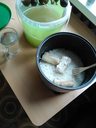anonymous_derp - Dzisiejsze śniadanie: Gotowany ryż, gotowane filety mintajowe, kiszo...