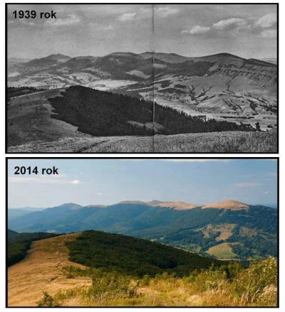 jakub-dolega - Puszcza Karpacka kiedyś i dziś
#polska #ciekawostki #lesnictwo