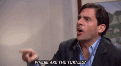 KoneserOOOO - WHERE ARE THE TURTLES?!

#theoffice